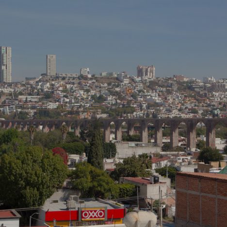 L’hiver en Camargue