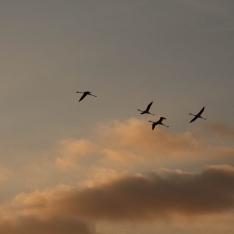 Dans les rues de Querétaro