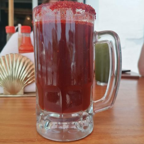 Premier bain pour le plus français des chiens Mexicains