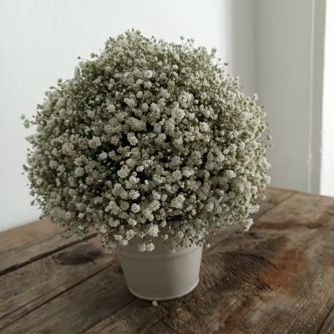 Dernier jour à Mexico